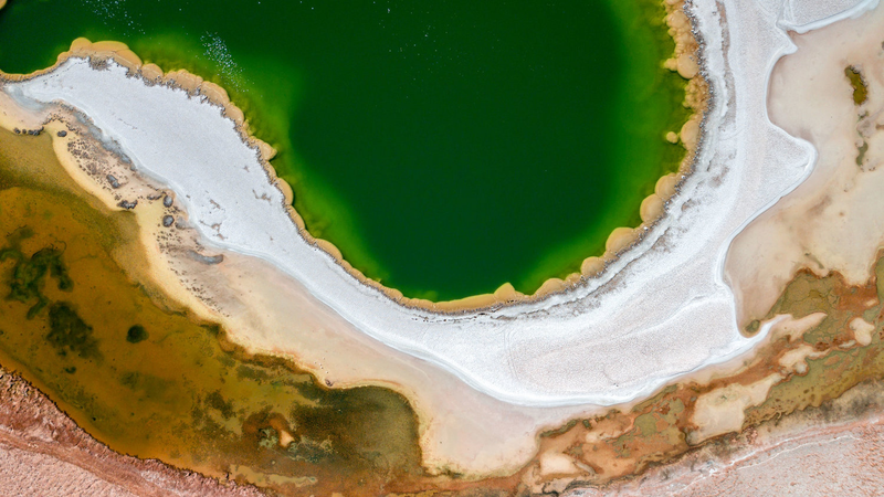 Illustration for article titled These Photos of the Atacama Desert Will Make You Feel Like You're on Another Planet
